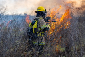 Incendies en Nouvelle-Aquitaine, les idel