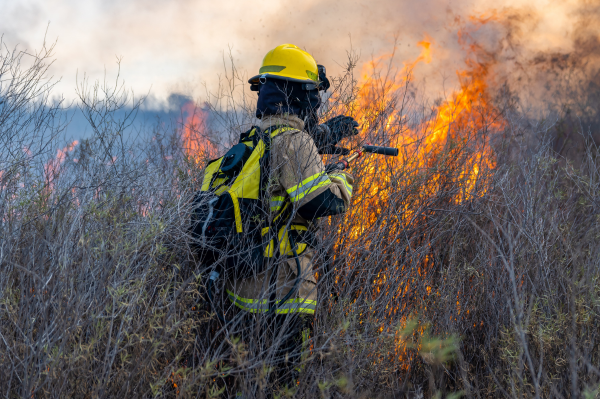 Incendies en Nouvelle-Aquitaine, les idel